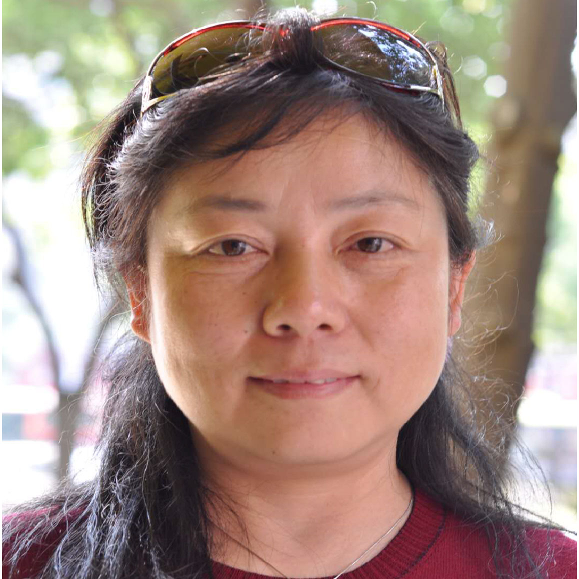 张林