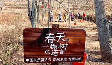 【活动】| 四月出行，不负美好春光